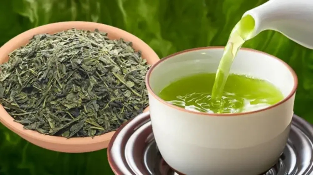 Factors That Influence Sencha Caffeine Levels