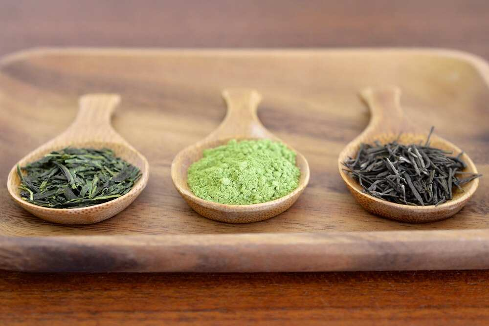 Green Tea FODMAP vs Other Teas