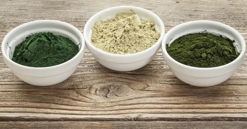 Nutritional Profile of Pure Green Tea