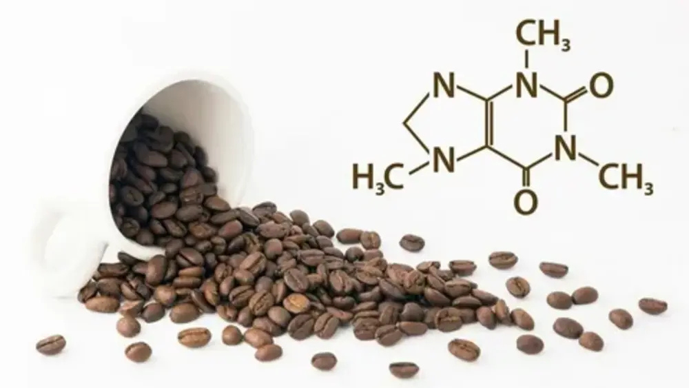 Safety and Caffeine Content