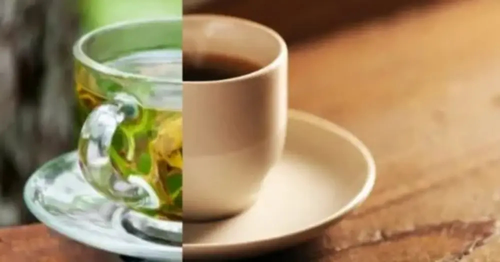 Brewed Green Tea vs. Other Teas