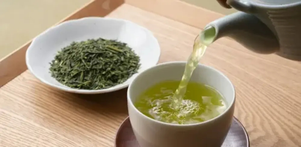 Brewed Green Tea: 5 Key Benefits for Health & Energy