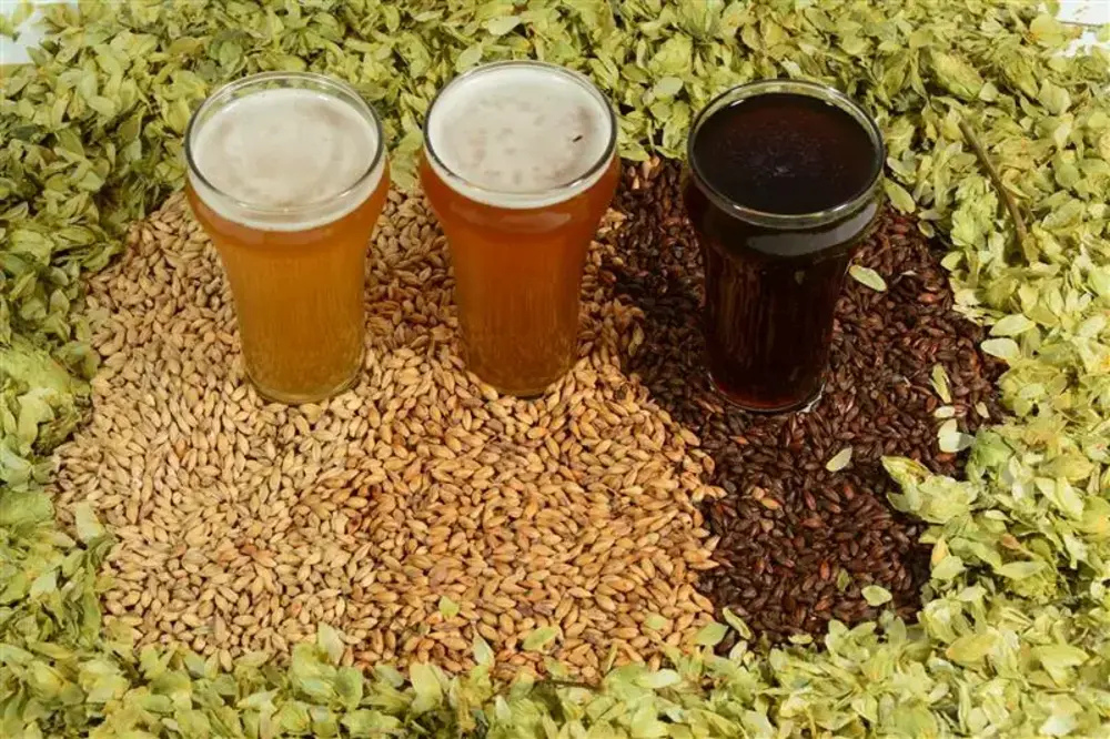 Brewing Techniques