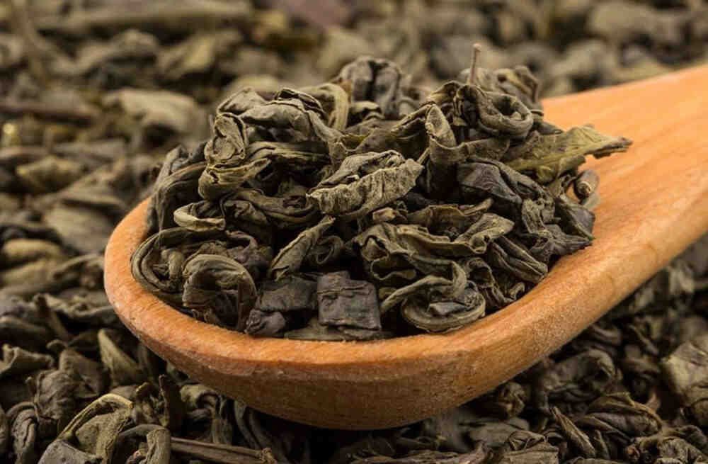 Chinese Gunpowder Green Tea: 5 Amazing Benefits & Brewing