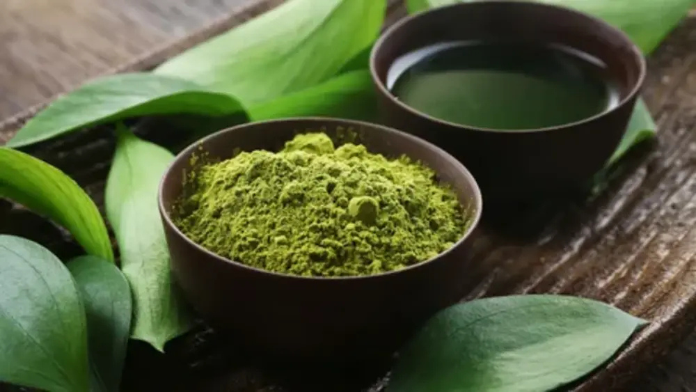 Green Tea Concentrate