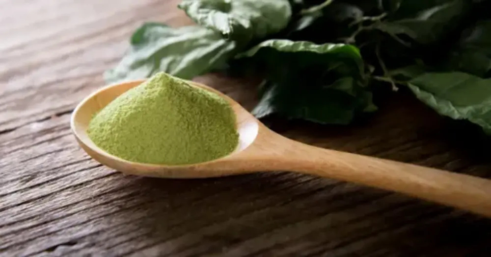 Nutritional Info & Health Benefits of Green Tea Mousse