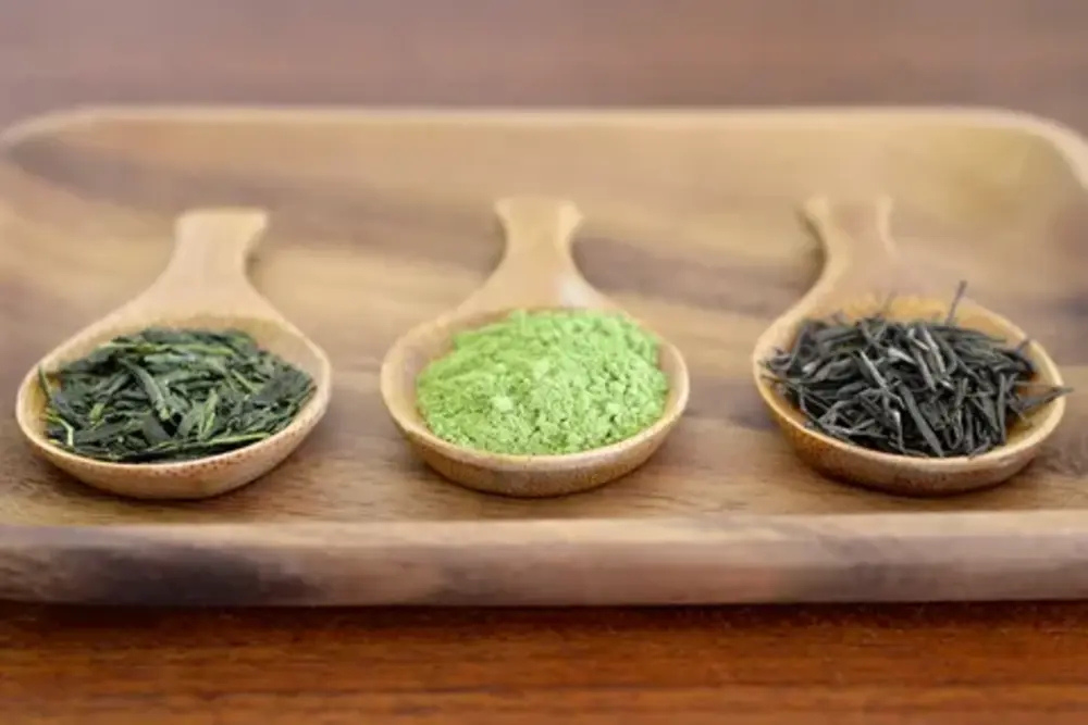 Nutritional Profile of Brewed Green Tea