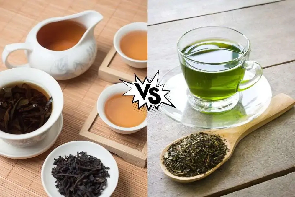 Understanding Green Tea vs Black Tea: What’s the Difference?