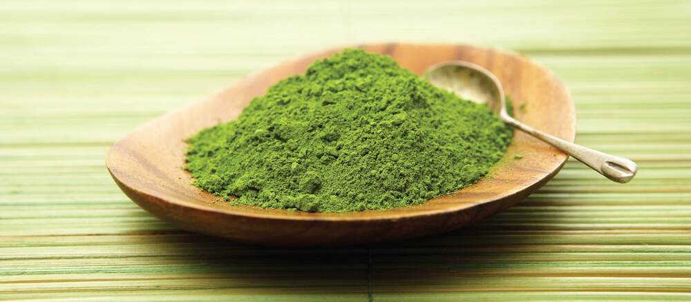 What Is Organic Green Tea Extract?