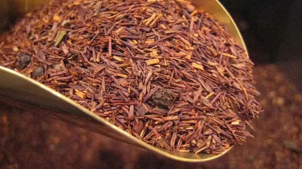 What Makes Green Rooibos Different from Red Rooibos?