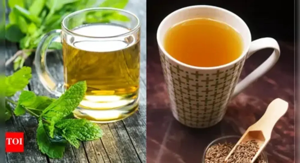Benefits of Green Tea + ACV Drink