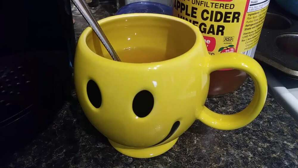 Green Tea Apple Cider Vinegar Drink