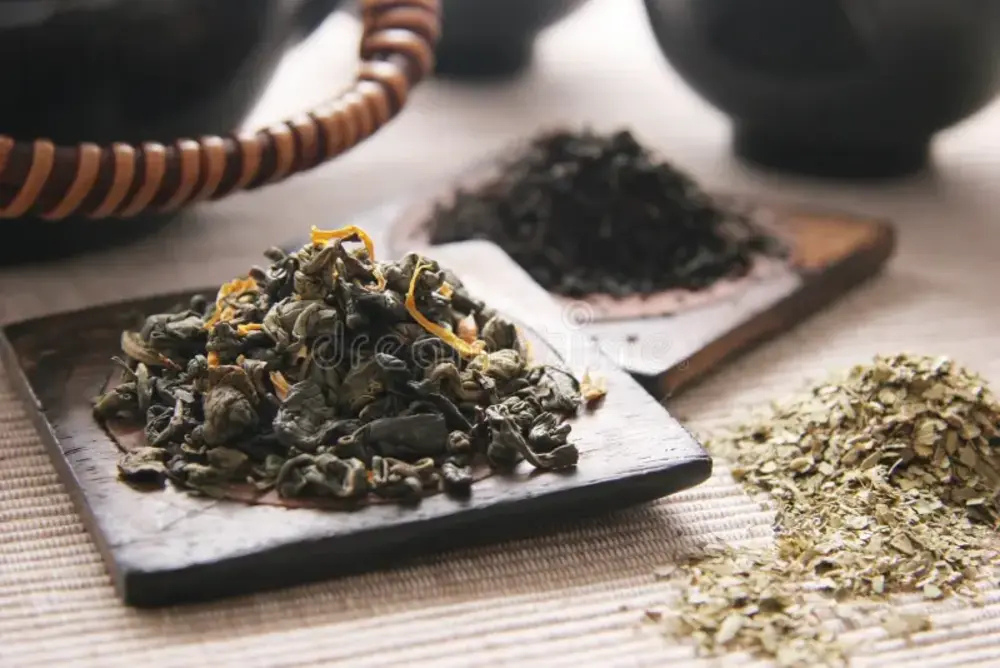 Green Tea and Yeast Infections 