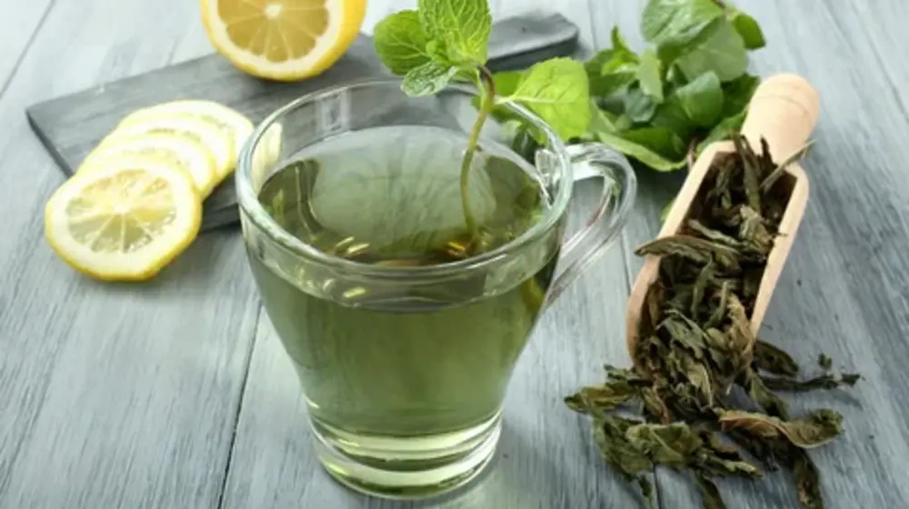  How Green Tea Affects Oral Health