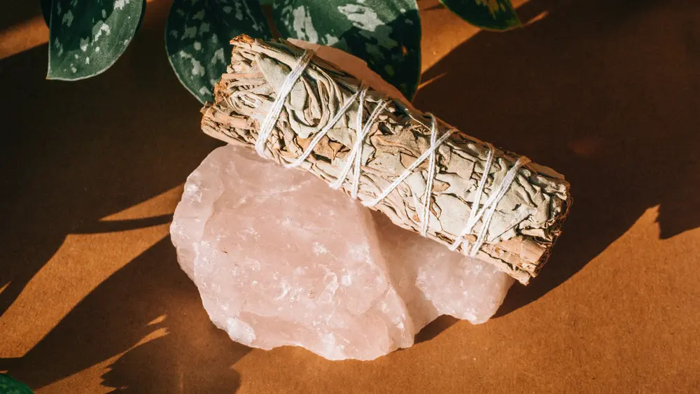 Sage: The Ancient Herb for Mind and Body