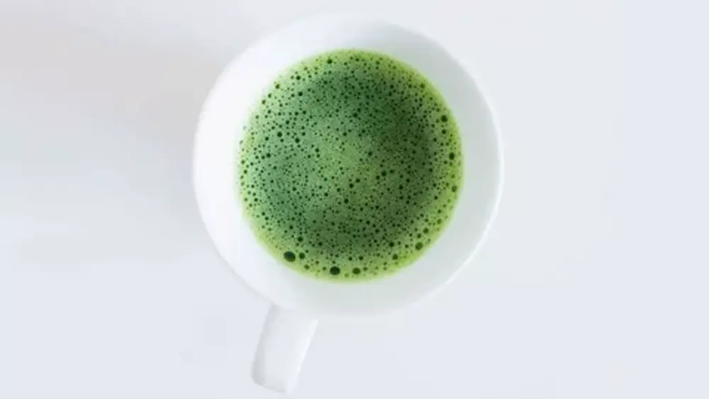 Which Green Teas Have the Highest EGCG Content