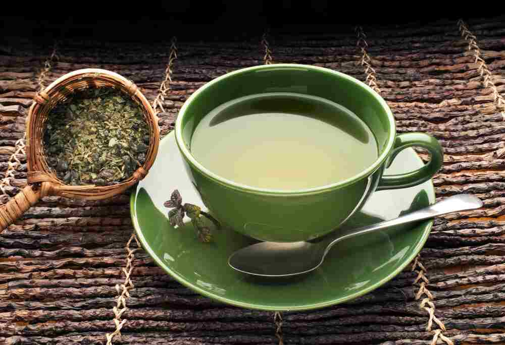 "Does Green Tea Break Autophagy?
