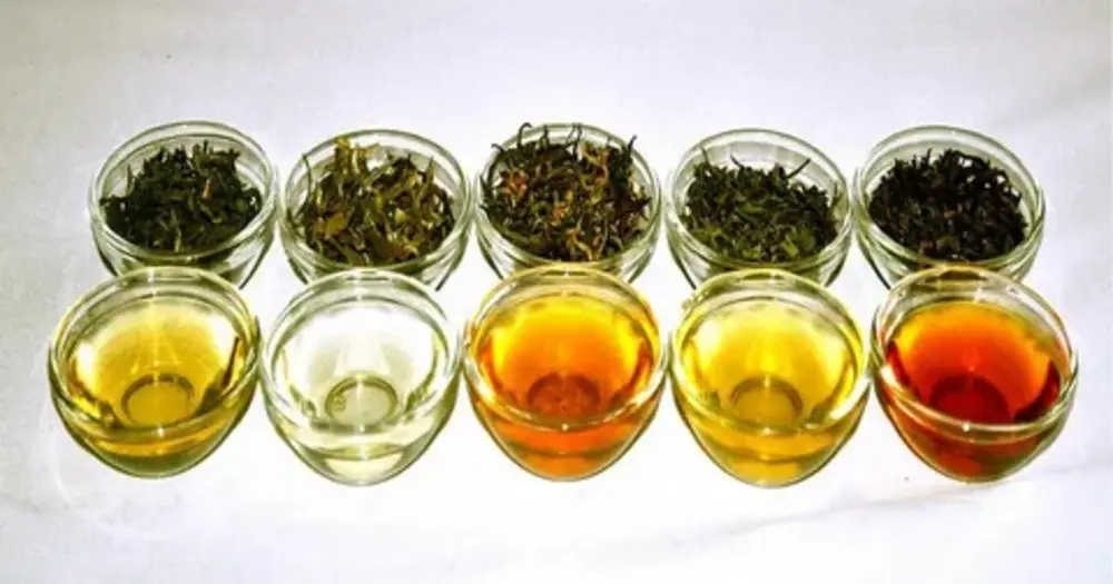 Does Green Tea Have Electrolytes?