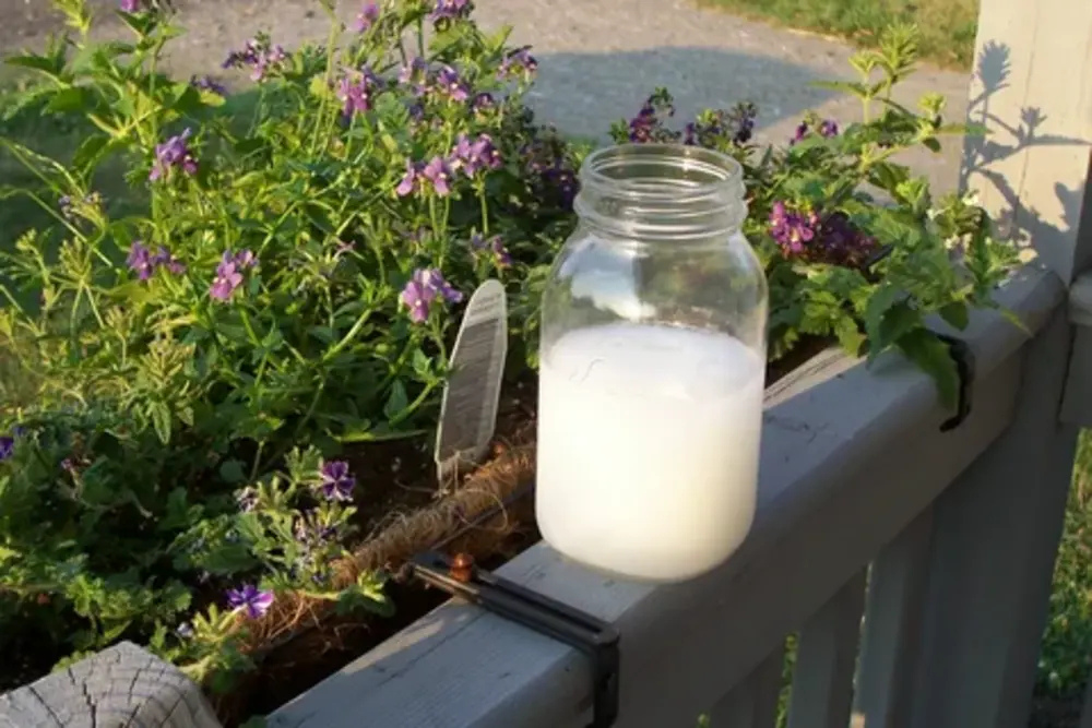 What Are Electrolytes and Why Do They Matter?