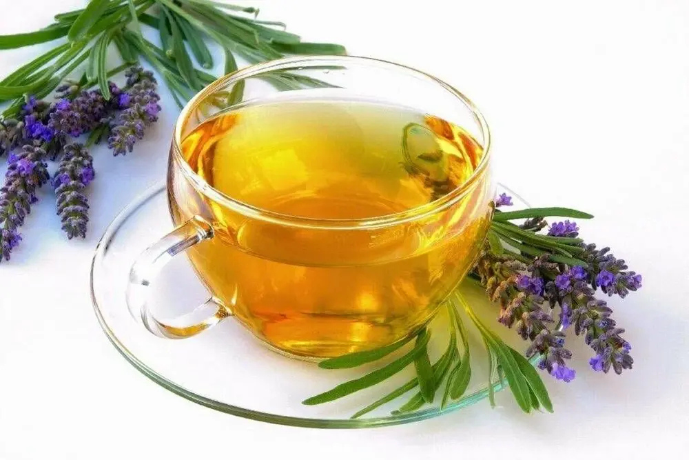 Lavender Green Tea: 4 Powerful Benefits for Stress Relief