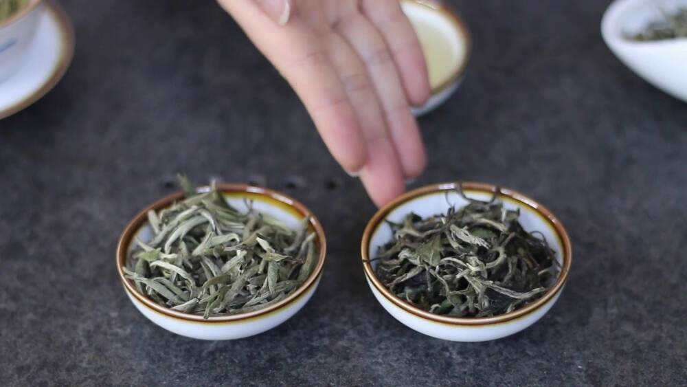 What Are Green and White Tea?