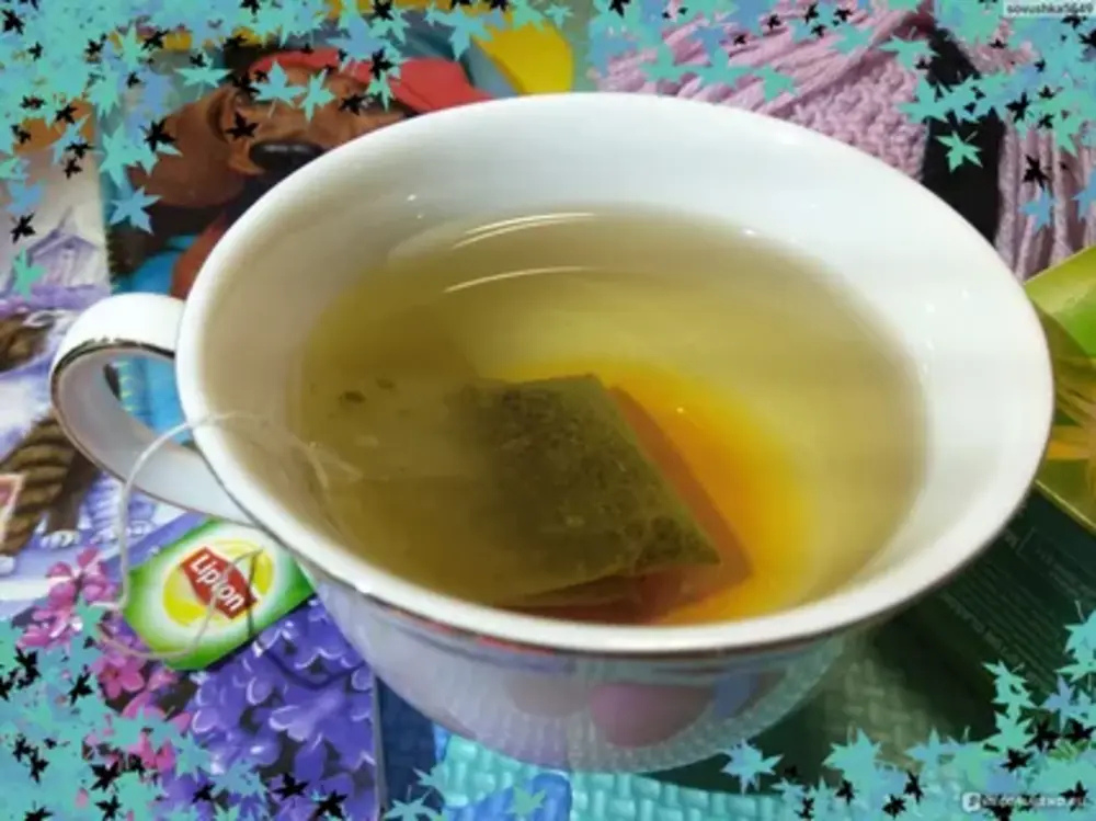 What is Lipton Green Tea Matcha Ginger?