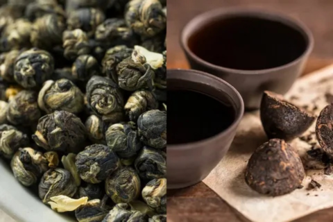 Caffeine in Oolong Tea vs Green Tea: 6 Surprising and Important Differences