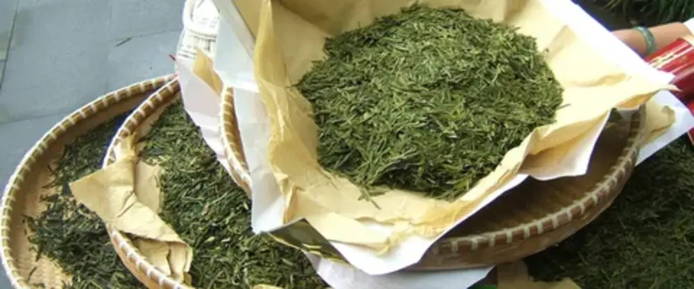 What is Yunnan Green Tea