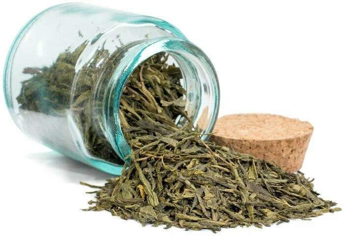 sencha green tea mints