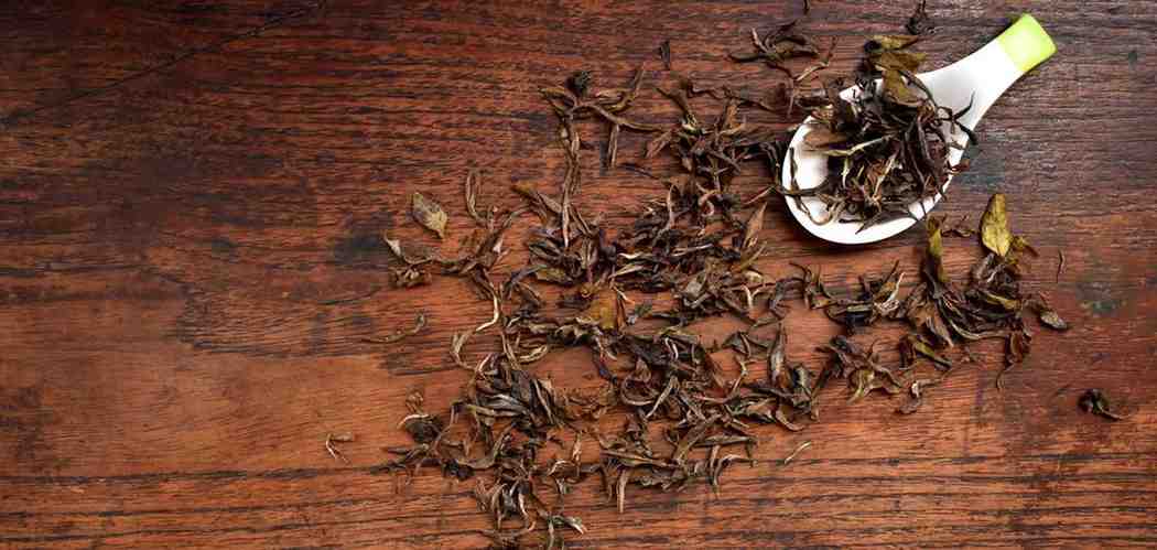 Organic Darjeeling Green Tea: 9 Powerful Benefits