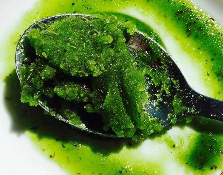 What is Matcha Green Tea Kombucha?